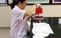 Nở rộ phong trào 'nuôi tinh thể' trong giới trẻ