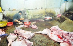 Vấn nạn thực phẩm bẩn chưa có dấu hiệu thuyên giảm