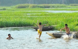 Dạy con những quy tắc giữ an toàn khi về quê nghỉ hè