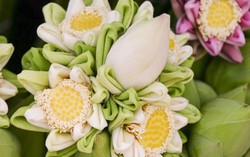 Lạ mà quen với 4 cách gấp cánh hoa sen độc đáo 