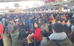 Australia: Sân bay Sydney 'tê liệt' do hiện tượng thời tiết bất thường