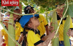 Biến sản phẩm xơ mướp Việt Nam thành quà tặng bạn bè thế giới