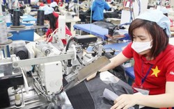Phát hiện hơn 7.000 lao động chưa đóng, bị đóng thiếu BHXH, BHYT