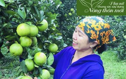 Hà Tĩnh: Lễ hội tôn vinh nông sản và thành tựu xây dựng nông thôn mới
