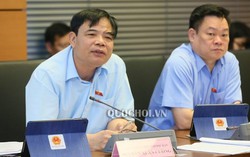 Chiến tranh thương mại Mỹ - Trung ảnh hưởng tới nông nghiệp Việt Nam thế nào?