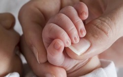 Thai phụ nhiễm Zika ở TPHCM sinh con khỏe mạnh và đã xuất viện