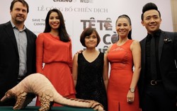 Thu Minh, Trấn Thành, Phạm Hương kêu gọi bảo vệ tê tê
