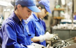 Chính sách ưu tiên lao động nữ có 'đầu voi đuôi chuột'?