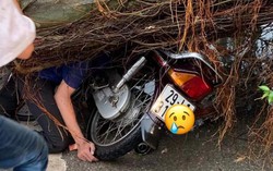 Một người tử vong do cây đổ khi tham gia giao thông trong mưa giông 