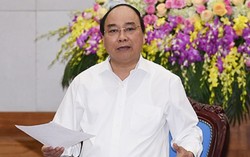 Sớm công khai nguyên nhân cá chết ở miền Trung