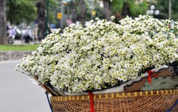 Hà Nội tạnh ráo, mưa lũ Trung Bộ vẫn diễn biến phức tạp
