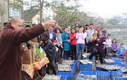 Mùng 1 Tết, phóng sinh mong bình an, may mắn