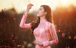 Những mùa đào đơn đầy ắp hạnh phúc