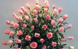 Căn phòng sáng bừng với lọ hoa hồng hình dẻ quạt
