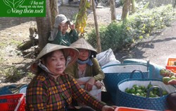 Chi hội trưởng Phụ nữ tích cực xây dựng nông thôn mới