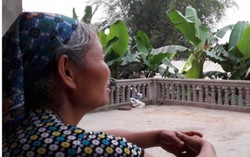 Vợ của liệt sĩ trở về: Mừng trước, tủi sau