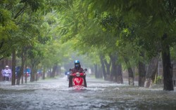 Áp thấp nhiệt đới sẽ khiến miền Trung mưa rất to