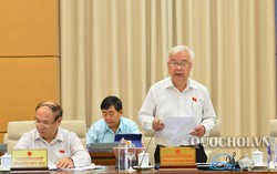 Dự thảo Luật Thanh niên sửa đổi: ‘Đòi hỏi’ quyền lợi nhiều hơn nghĩa vụ?