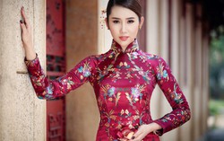 “Gấm lụa xuân sang”