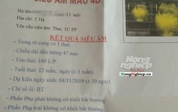 Vụ thầy giáo làm nữ sinh lớp 8 có bầu: Đưa 300 triệu để giải quyết tình cảm?