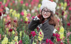 Quà tặng 8/3 đây chứ đâu: Một trời hoa nở rực rỡ ở Fansipan