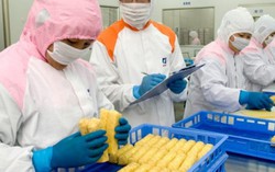 Lý do Nhật Bản hiếm khi xảy ra ngộ độc thực phẩm