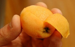 Nhót Nhật 4 triệu/kg: Đắt thật hay do 'thổi giá'