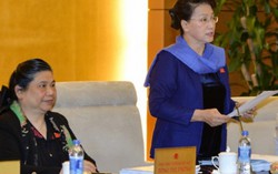 Chủ tịch QH quan ngại về xâm hại tình dục trẻ em