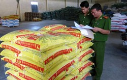 Vẫn có chất cấm vỗ béo lợn dịp Tết