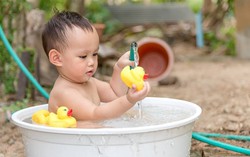 Các loại lá 'thổi bay' rôm sẩy cực kỳ hiệu quả cho bé