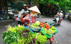 Lao động nữ khu vực phi chính thức mong muốn gì ở BHXH tự nguyện?
