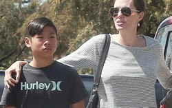 Con nuôi gốc Việt Pax Thiên không muốn sống cùng Angelina