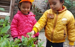 Hành trình 22 năm tìm con của người đàn ông suy tim