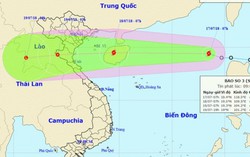 Bão Sơn Tinh năm 2012 từng tàn phá khủng khiếp ở Việt Nam