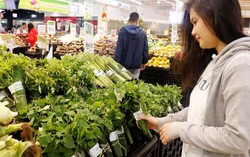 Băn khoăn về vệ sinh trước ‘cơn sốt’ dùng lá chuối bọc thực phẩm
