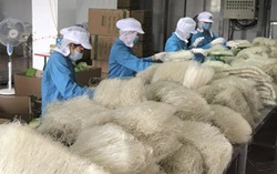 Hà Nội tăng cường giám sát vệ sinh an toàn thực phẩm tại các làng nghề dịp cuối năm