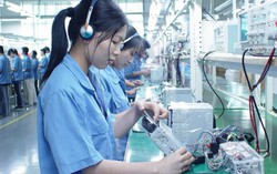 Cử nhân thất nghiệp nhiều gấp 3 lần trình độ trung cấp