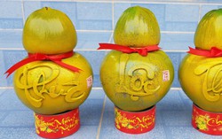 Độc đáo dừa hồ lô chưng Tết