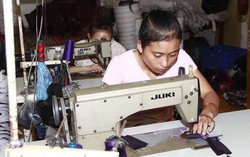 Phát hiện gần 1.500 lao động chưa được đóng, đóng thiếu các loại bảo hiểm