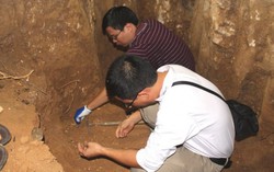 Tu bổ đền, phát hiện di vật thời tiền sử