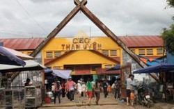 42 người nhập viện sau khi ăn thịt trâu mua từ chợ huyện