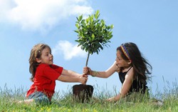 Hiểu đúng về 'trải nghiệm thiên nhiên' giúp trẻ thích nghi mọi hoàn cảnh
