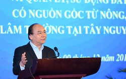 Tạo điều kiện để người di cư tự do có chỗ ở và sinh kế