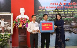 Phó Chủ tịch nước dự Ngày hội Đại đoàn kết toàn dân tộc tại Ninh Bình