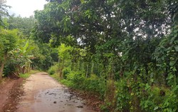 Vụ mẹ kế đánh con chồng ở Bình Phước: 'Vết thương đầy người, tinh thần cháu suy sụp'