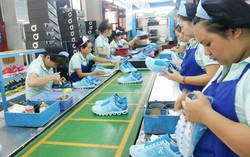 Hôm nay, 30/12/2018: Hiệp định CPTPP chính thức có hiệu lực