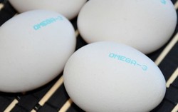Ma trận ‘trứng gà omega 3’