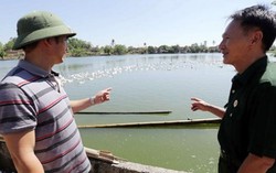 Lựa chiều tín dụng thổi bùng sức sống nông thôn mới ở Nam Đàn