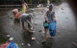 Đà Nẵng tăng cường phòng chống dịch bệnh sau đợt mưa lớn