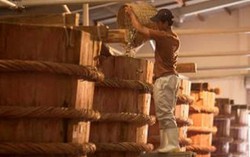 Sẽ đề nghị Bộ Công an vào cuộc vụ 'nước mắm nhiễm asen'